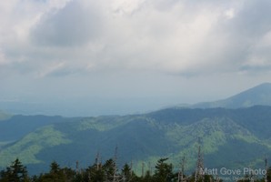 Picture 50