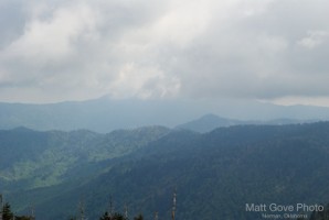 Picture 51