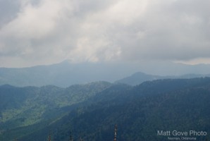 Picture 52
