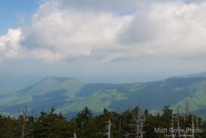 Picture 53