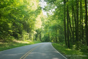 Picture 6
