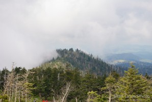 Picture 61