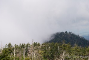 Picture 62