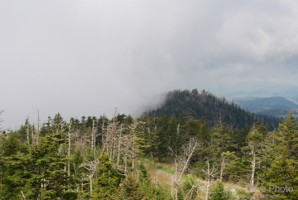Picture 63