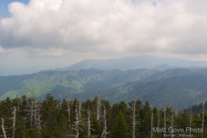 Picture 66
