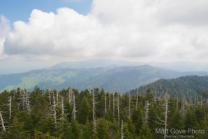 Picture 68