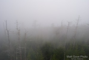 Picture 82