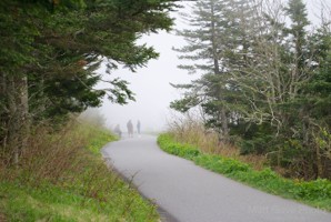 Picture 83