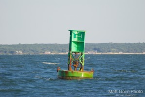 Picture 14