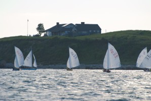 Picture 41