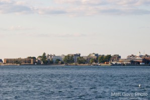 Picture 45