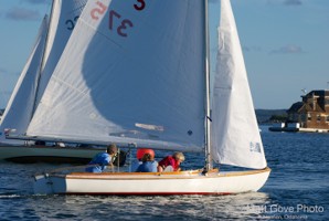 Picture 8