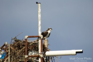 Picture 21