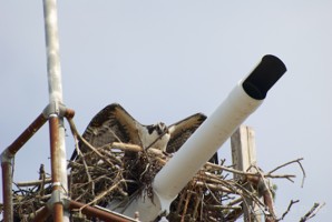 Picture 7