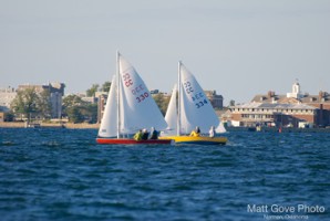 Picture 22