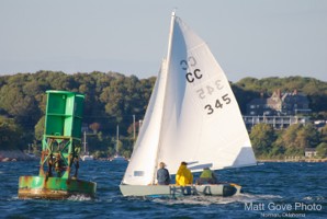 Picture 4