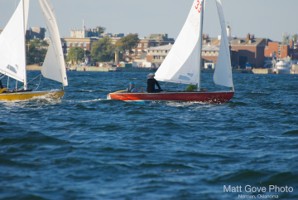 Picture 7