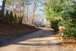 Picture 1