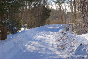 Picture 11