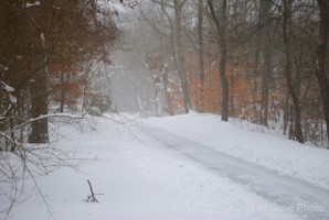 Picture 13