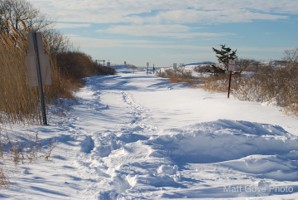 Picture 23