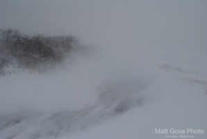 Picture 31