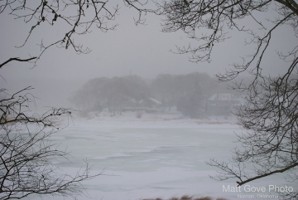 Picture 39