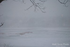 Picture 42
