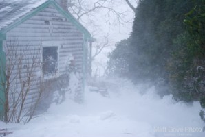 Picture 46