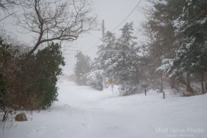 Picture 47