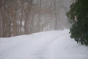 Picture 48