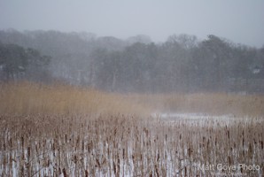 Picture 50