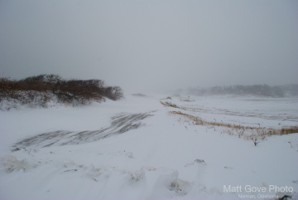 Picture 51