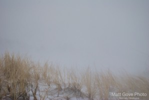 Picture 53