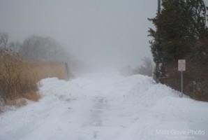 Picture 56