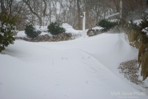 Picture 59