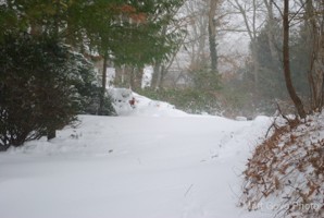 Picture 60
