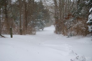 Picture 7