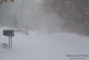 Picture 10
