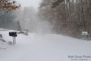 Picture 11