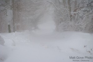 Picture 14