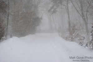 Picture 16