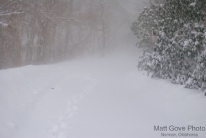 Picture 26