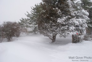 Picture 31