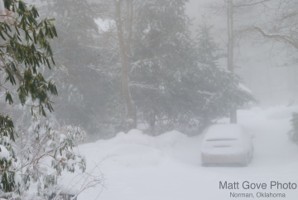 Picture 5