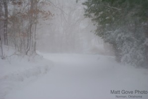 Picture 7