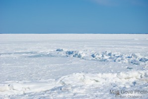 Picture 29