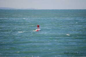 Picture 35