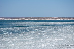 Picture 38