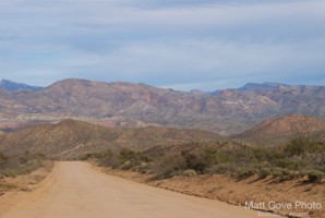 Picture 15